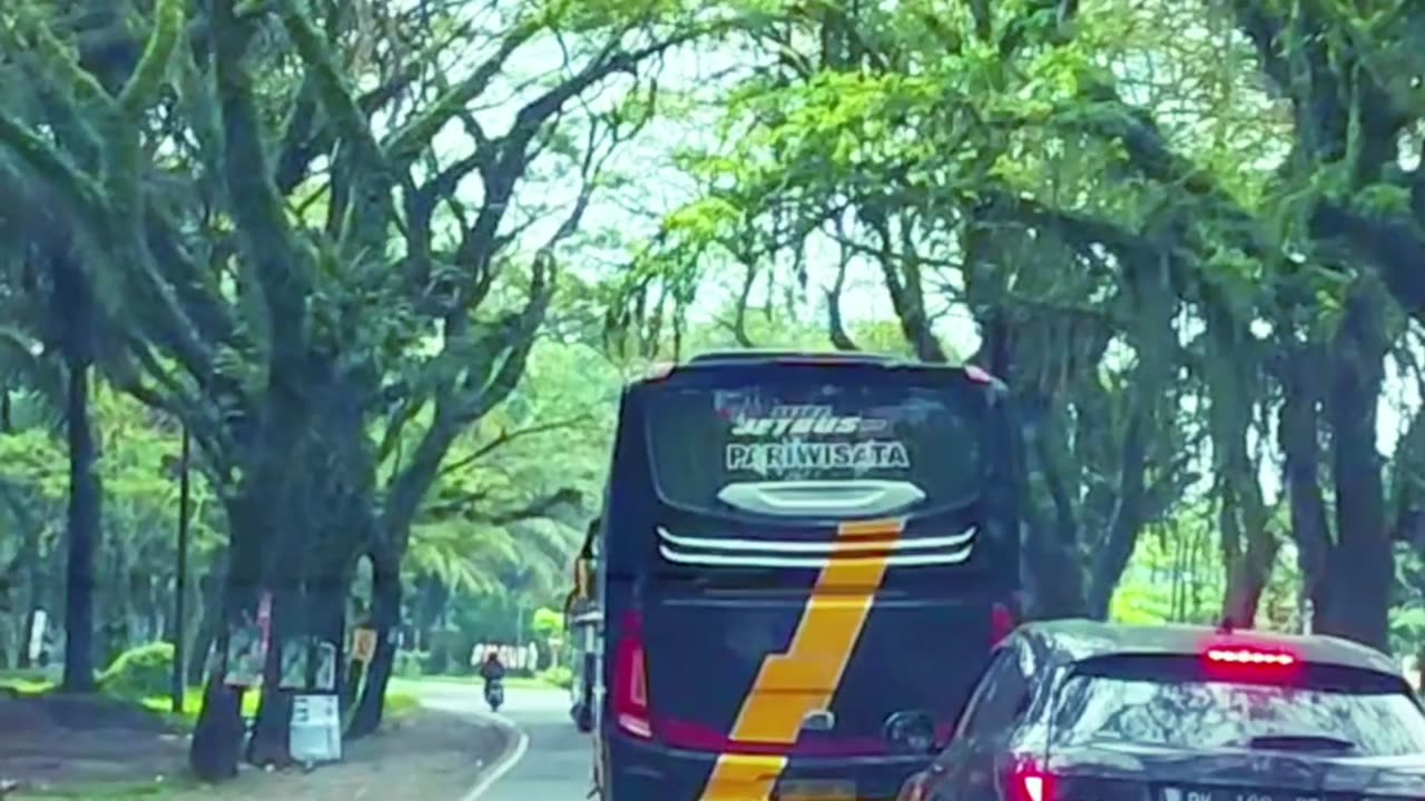 Scenic Escape | Serene Out-of-Town Drive Through Tree-Lined Roads