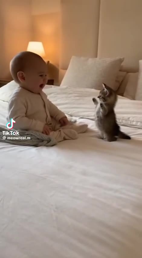 😂😭 You'll Cry Laughing at This Adorable Animal Moment! | FunFM