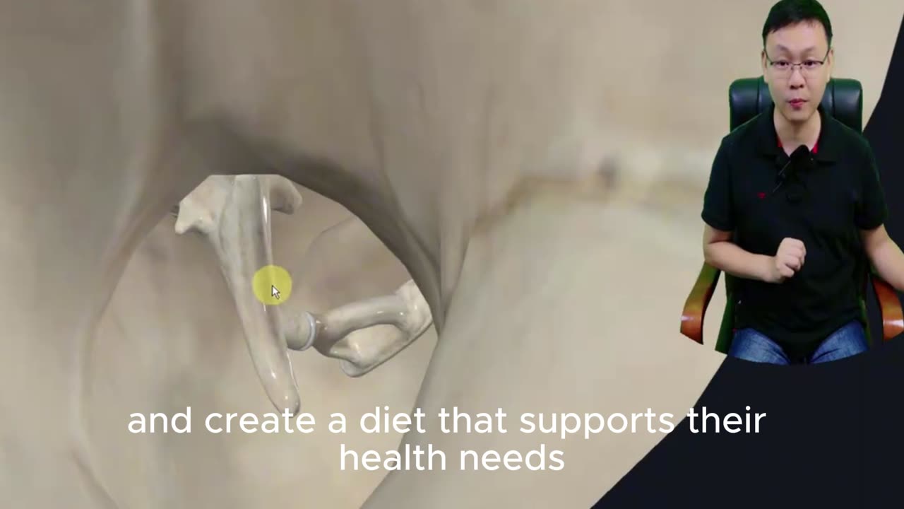 Maintaining a Healthy Diet for Seniors: Essential Tips for Nutritional Wellness