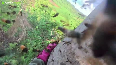 Honey Harvesting in the Primeval Forest