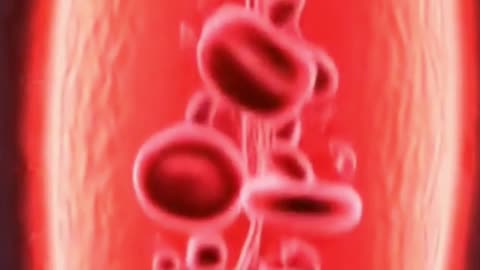 Top 7 Foods for Healthy Blood Flow #HealthyBloodFlow #Shorts #BloodCirculation