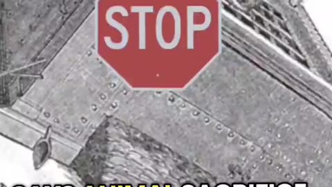 Animal sacrifice is a shadow