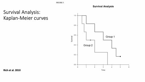 Interpretation of clinical and non clinical data. Peivand Pirouzi, Ph.D.