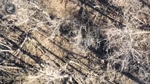 One Russian soldier falls dead, the other is wounded