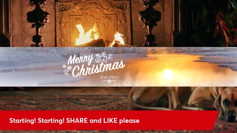 Musk says No White Guilt | Bot Boy & Antiwhite Morgan | Citizens Fed Up With Migrants