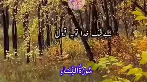 Beshak 💯♥️✨🕊️