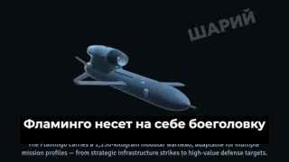 📼 There's an interesting video about the presentation of this very Flamingo