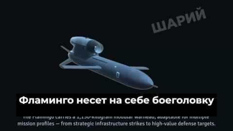 📼 There's an interesting video about the presentation of this very Flamingo