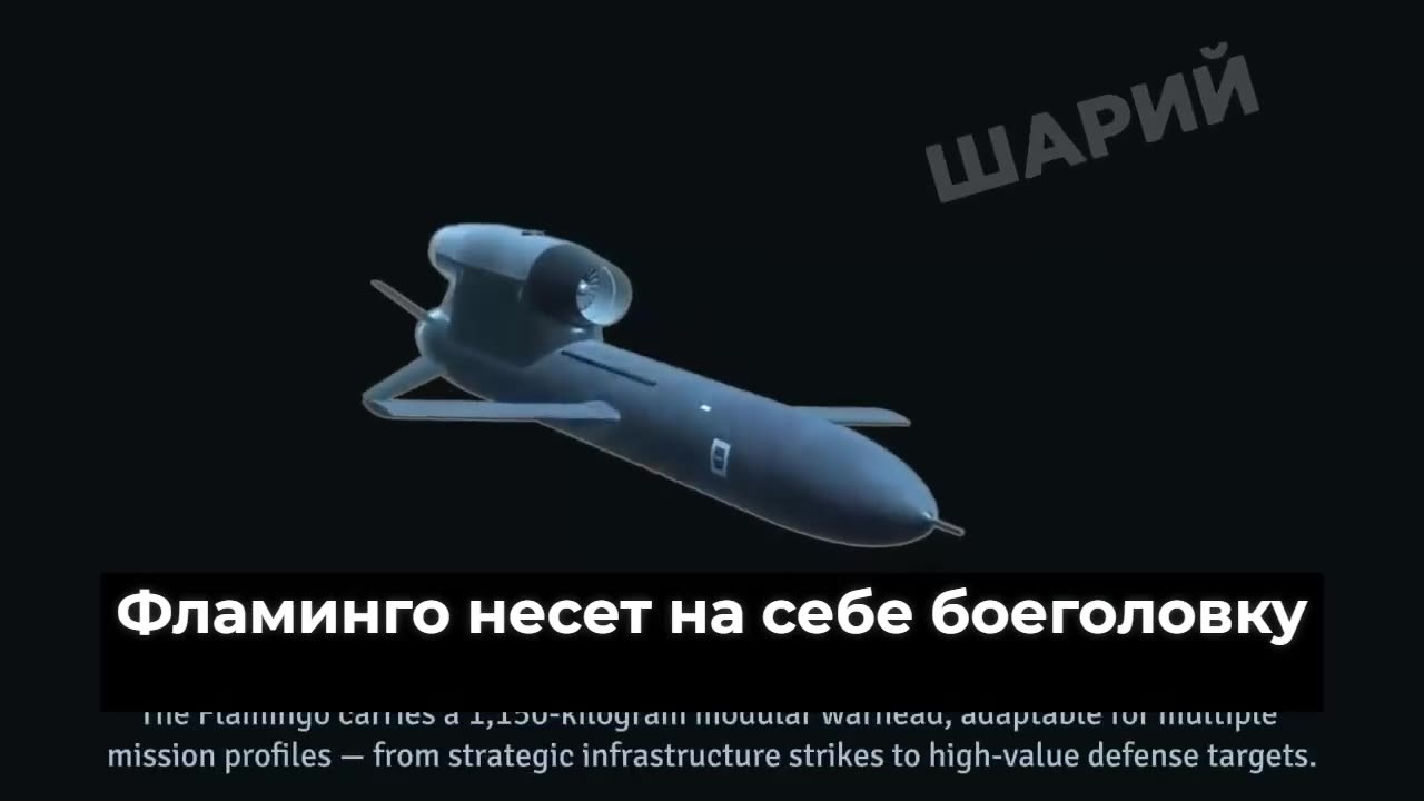 📼 There's an interesting video about the presentation of this very Flamingo