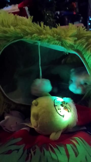 Twas the night before Christmas..