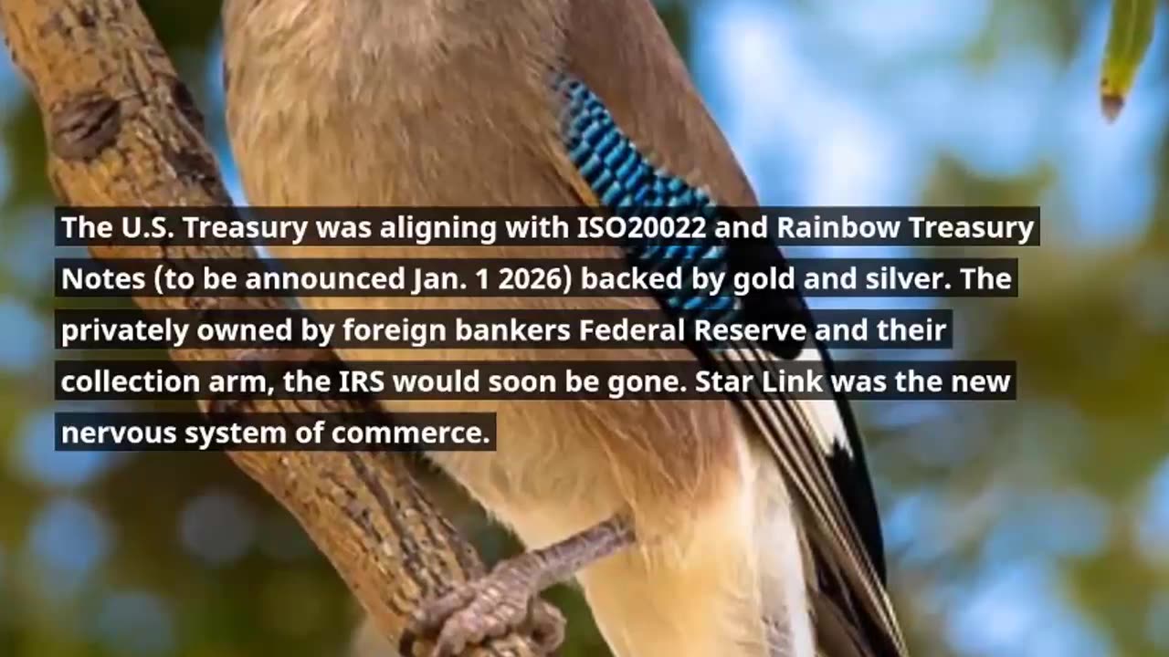 EXTRA Restored Republic via a GCR Update Sep 29, 2025- Judy Byington.Benjamin Fulford.mp4
