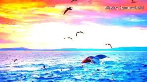 Likwidacja Siostry Jasnowidzki wizja jasnowidz