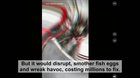 As Prices Rise So Does Illegal Gold Dredging, Busted in CA $1,000 Fine