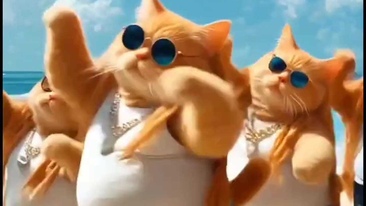 😺 Beach Party: Dancing Cats Under the Sun 🌴💃