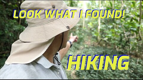 LOOK WHAT I FOUND!! Saipan Island! 사이판 섬 하이킹