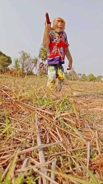 Best SokYaa, OG, Pao & Mom Are Videomous Around The World #shorts #anime #trend #edit