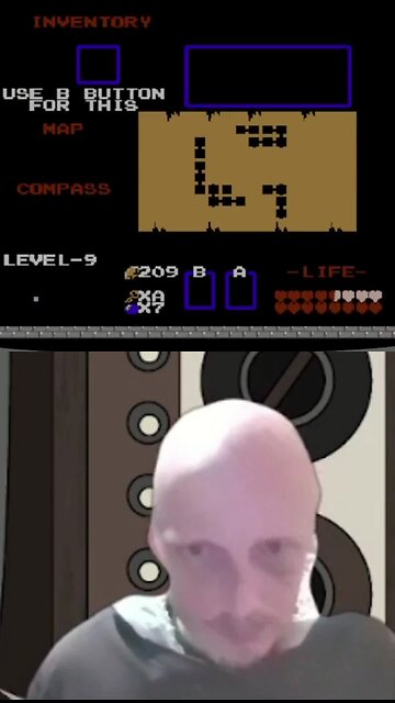 Zelda wears a Blue Dress after Saving her from Ganon