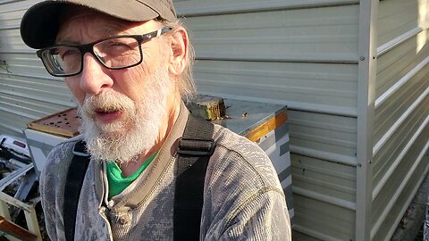 🐝Feedin DA BEEs 3 🐝👍