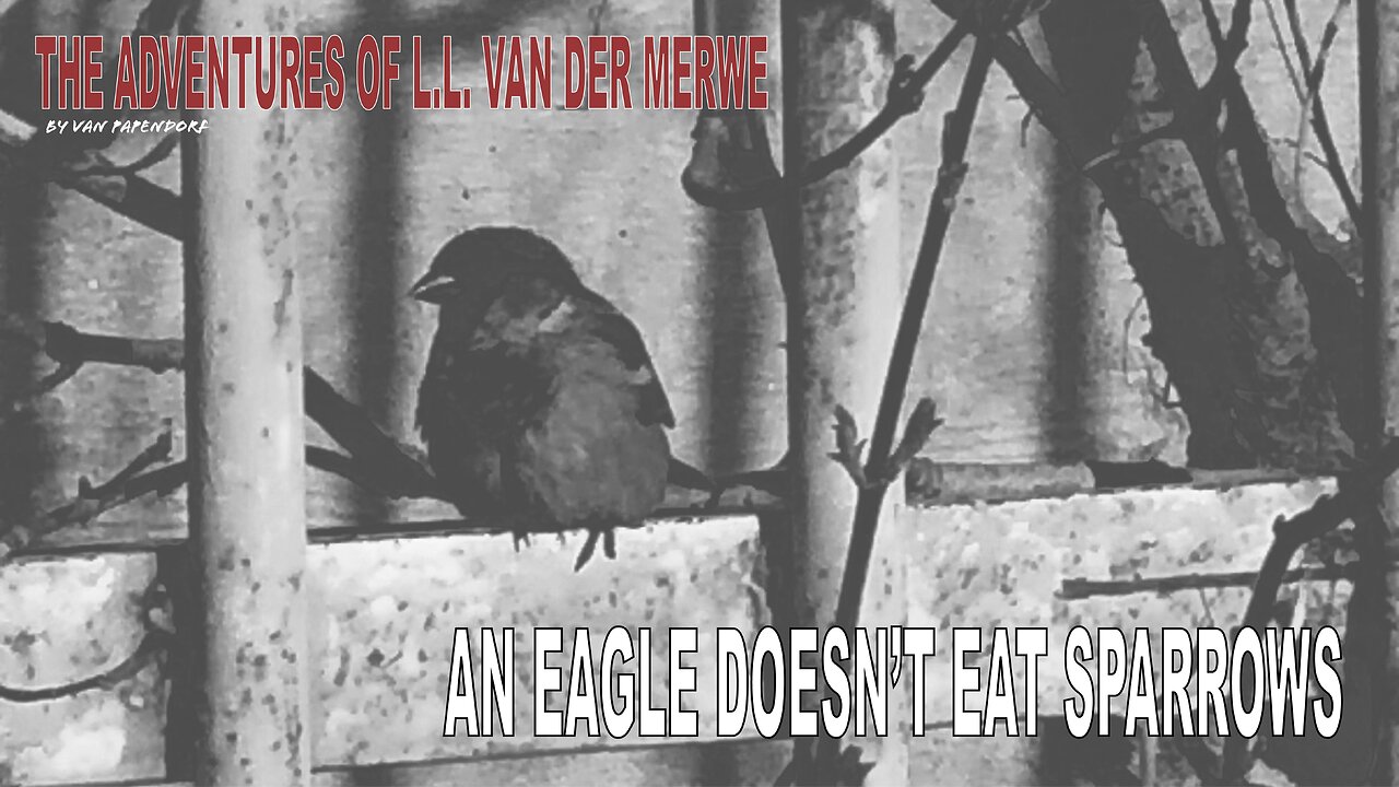 An Eagle doesn't eat Sparrows