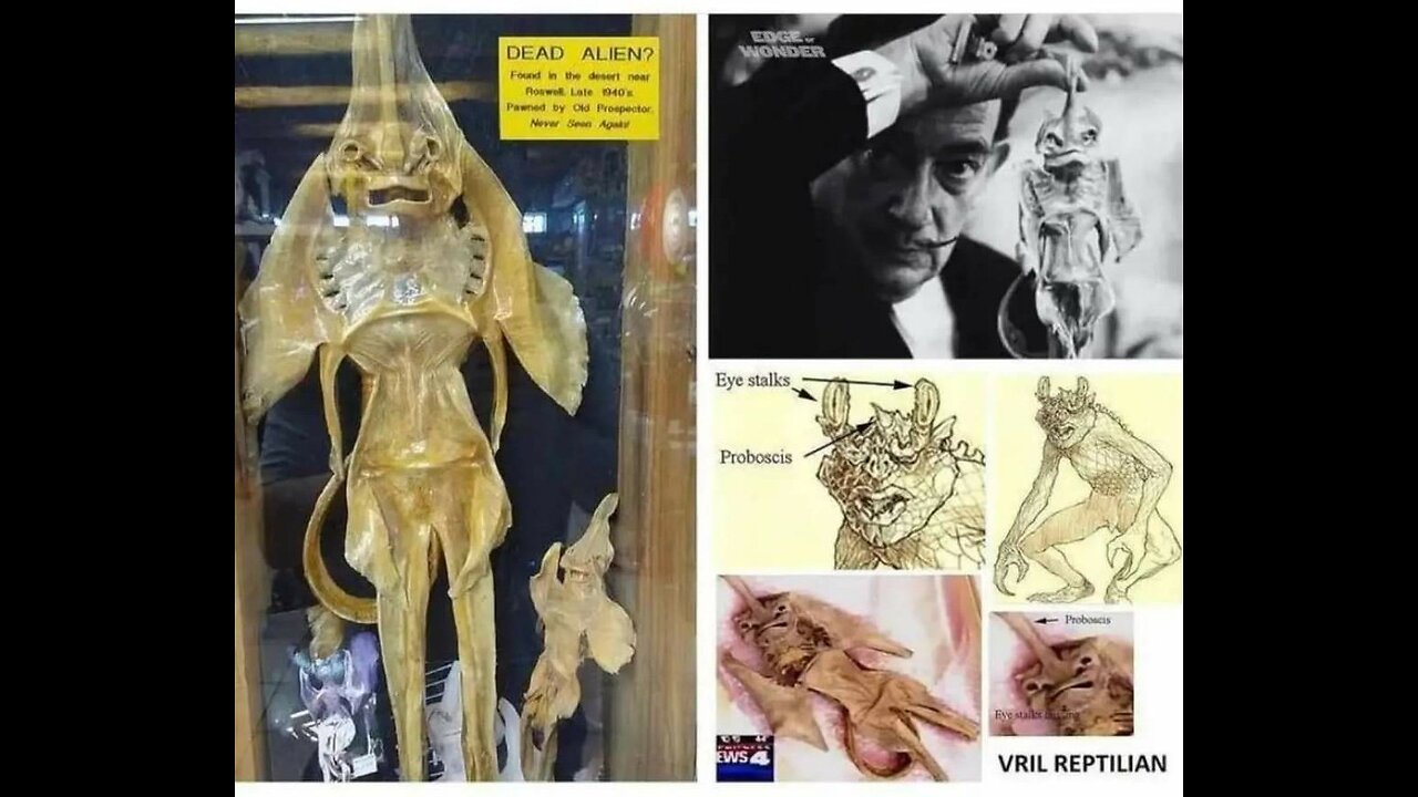 FALL OF THE CABAL ( PART 4. )