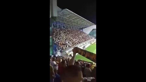 Petrolul Ploiesti vs Rapid Bucuresti _Lupii Galbeni_ coregrafie HOOLIGANS