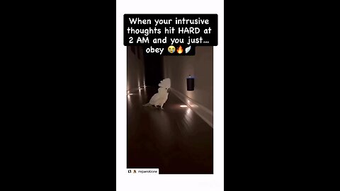 We're all cartoon animals