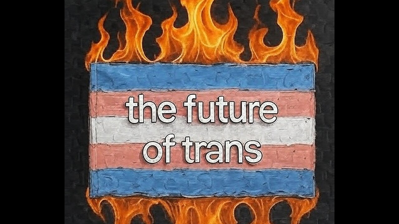 The Future of the trans movement