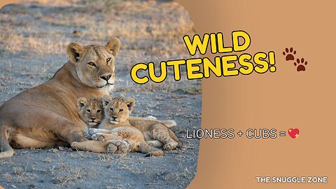 LIONESS PLAYING WITH HER BABIES 🐾🦁 | UNREAL MOMENTS
