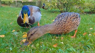 Alpha Drake with His Girlfriend