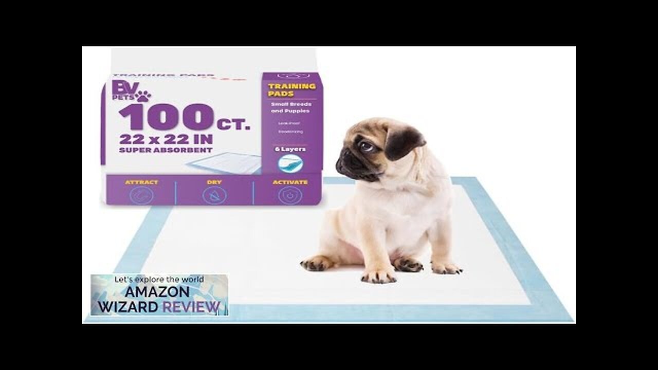 BV Puppy Pads Leak-Proof 100 Count 22"x 22" | Pee Pads for Review