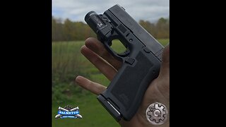 Glock 43 - Palmetto State Armory - Micro Dagger Combo W Streamlight TLR-7
