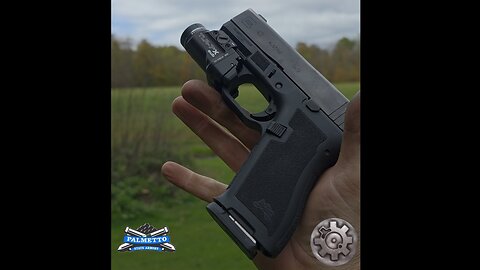 Glock 43 - Palmetto State Armory - Micro Dagger Combo W Streamlight TLR-7