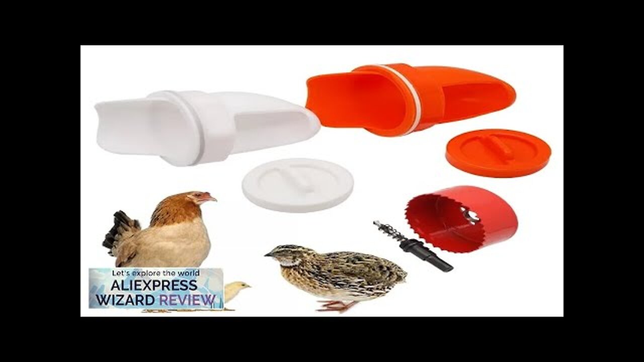 Chicken Feeder Poultry Feeding Supplies DIY Rain Proof Poultry Feeder Port Gravity Review