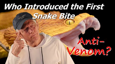How Can a Venomous Snake Bite Explain the Gospel of Jesus Christ?