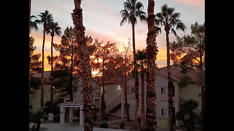 Walking in Las Vegas and Sun Gazing with Pigeons