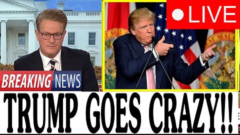 ms.now 24/7 – News