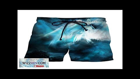 World of Warcraft Spirit Healer Angel Streetwear Shorts Review