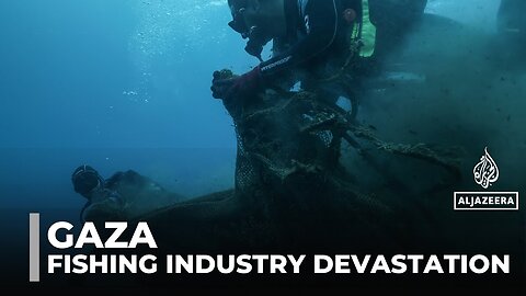 Gaza's devastated fishing industry: Vital source of Palestinian livelihoods near collapse