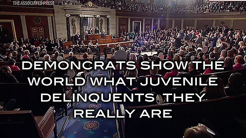 Demoncrats Show the World What Juvenile Delinquents They Really Are