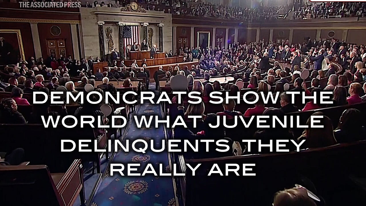 Demoncrats Show the World What Juvenile Delinquents They Really Are