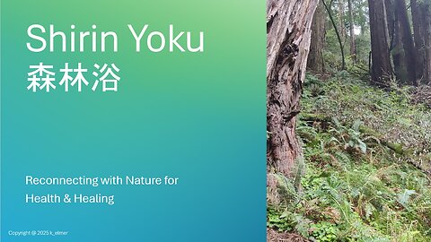 Shirin Yoku - Connecting with Nature for Health & Healing
