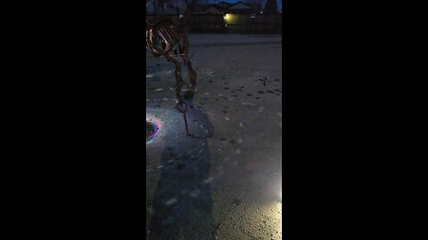 Dino Decked Out For NYE