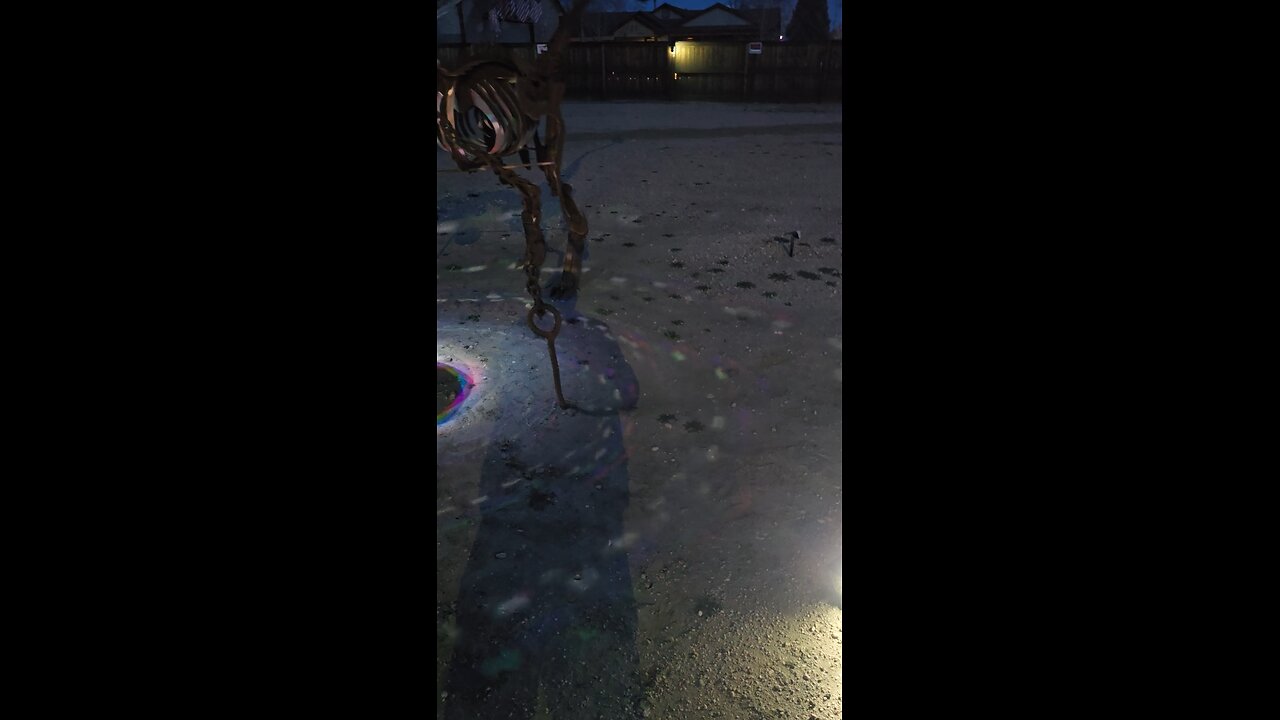 Dino Decked Out For NYE