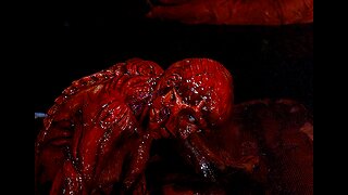 A9E Matrix DeCode PT19 Adrenochrome A113 Order Of The Dragon " Devil " illuminati " by Asaru 9 Ether