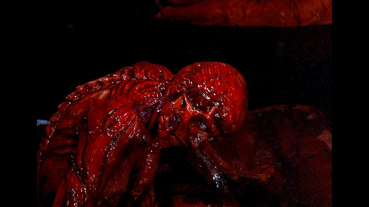 A9E Matrix DeCode PT19 Adrenochrome A113 Order Of The Dragon " Devil " illuminati " by Asaru 9 Ether