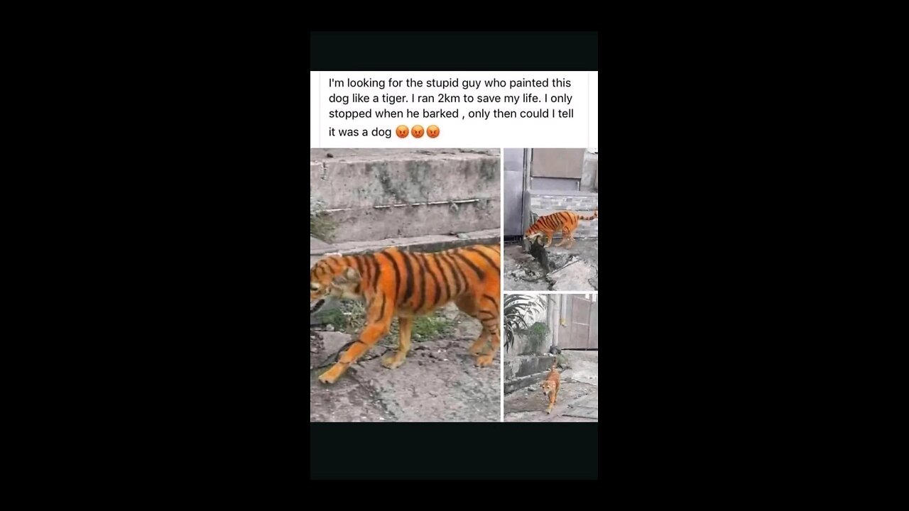 “When Life Gives You Funny Mood | Ultimate Meme Shorts” #FunnyMemes #MemeShorts #ViralVideo