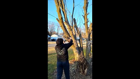 Max pocket chainsaw P1