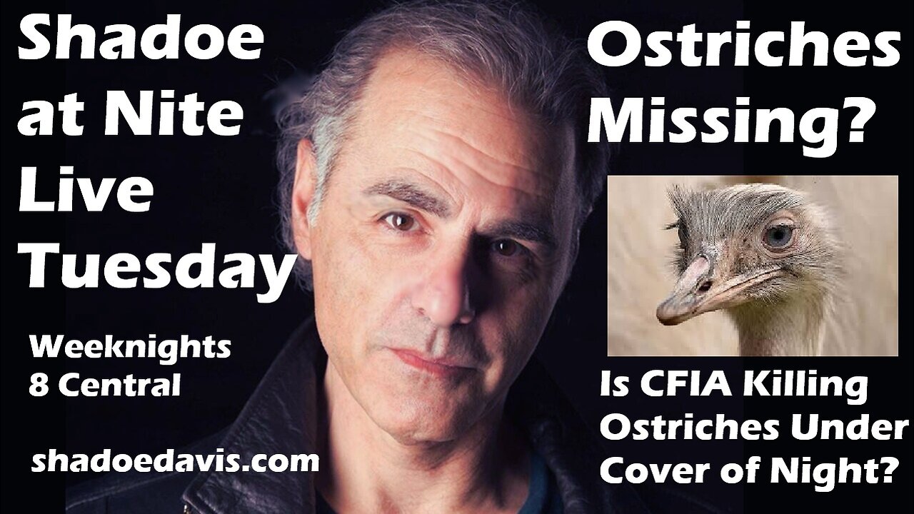Oct. 14th/2025- Birds Vanishing from Universal Ostrich Farm? Poilievre Calls for End to DEI