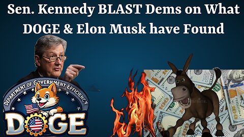 Senator Kennedy BLAST Dems on What DOGE & Elon Musk have Found