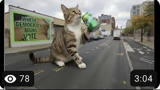 Giant Cat Drinking Sprite Soda in 4 Flushing Ave New York Google Street View